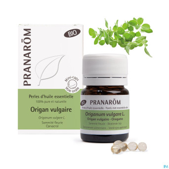 Perles origan vulgaire bio hle ess caps60 pranarom