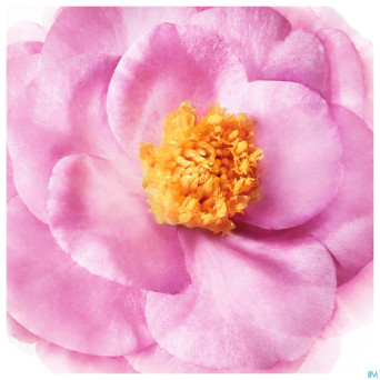 Nuxe hair la creme soin intense s/rincage 100ml