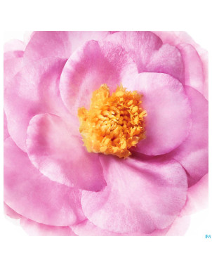 Nuxe hair la creme soin intense s/rincage 100ml