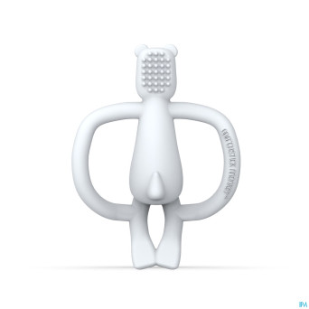 Matchstick monkey anneau dentition ours polaire