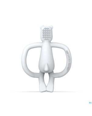 Matchstick monkey anneau dentition ours polaire