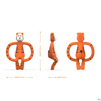 Matchstick monkey anneau dentition tigre