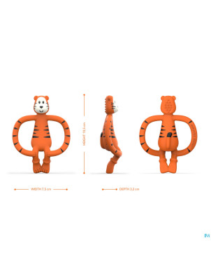 Matchstick monkey anneau dentition tigre