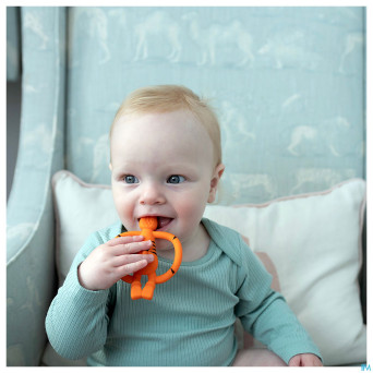 Matchstick monkey anneau dentition tigre