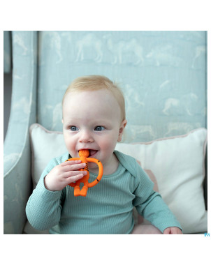 Matchstick monkey anneau dentition tigre