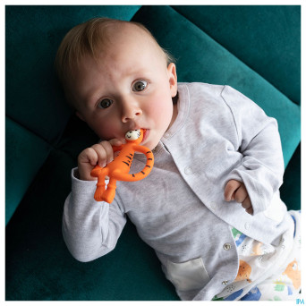 Matchstick monkey anneau dentition tigre