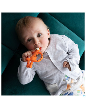 Matchstick monkey anneau dentition tigre