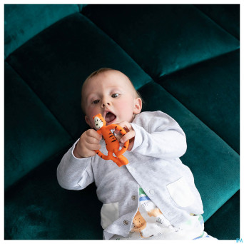 Matchstick monkey anneau dentition tigre