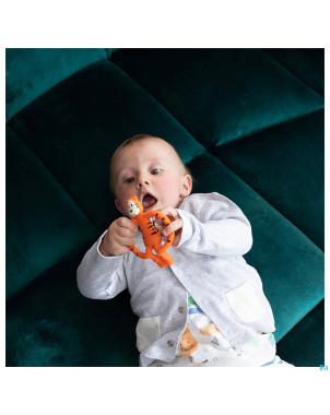 Matchstick monkey anneau dentition tigre