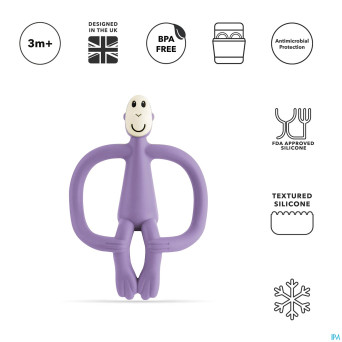 Matchstick monkey anneau dentition mauve