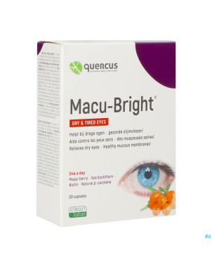 Quercus macu-bright caps 2x15