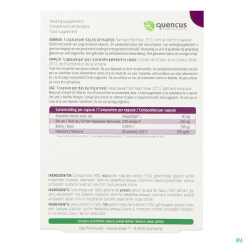 Quercus macu-bright caps 2x15