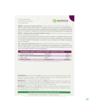 Quercus macu-bright caps 2x15