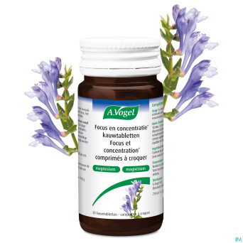 A.vogel focus & concentration comp croq 28