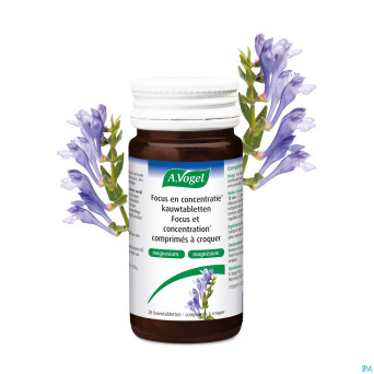 A.vogel focus & concentration comp croq 28