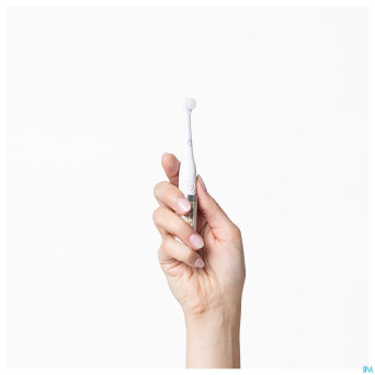 Matchstick monkey bebe brosse a dents sonic girafe