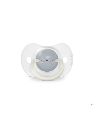 Suavinex n&d soother sili.rev 6-18m bear bl duo