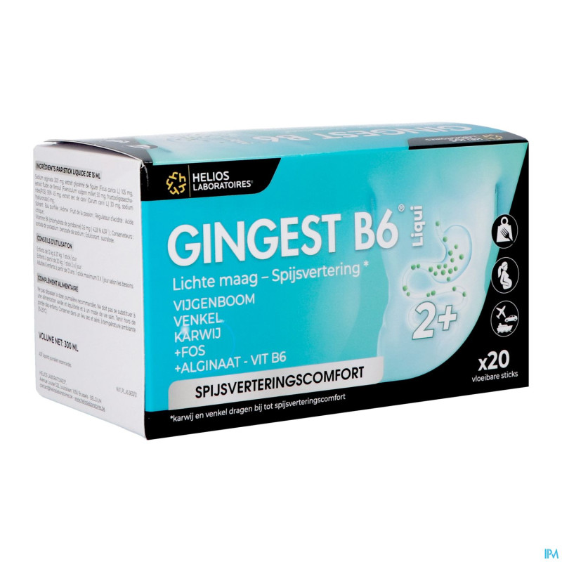Gingest b6 liqui sticks 20x15ml