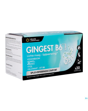 Gingest b6 liqui sticks 20x15ml