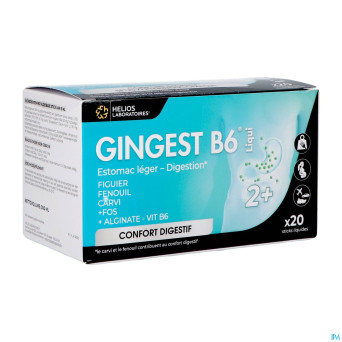 Gingest b6 liqui sticks 20x15ml