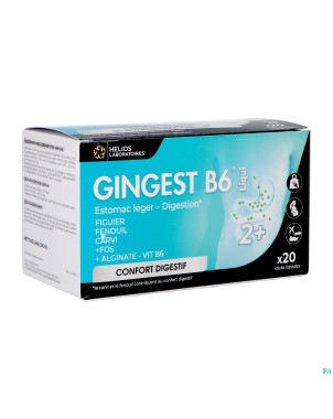 Gingest b6 liqui sticks 20x15ml