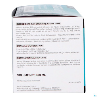 Gingest b6 liqui sticks 20x15ml