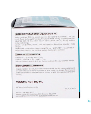 Gingest b6 liqui sticks 20x15ml