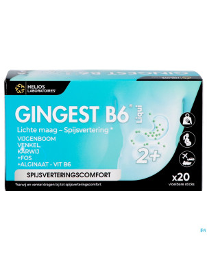 Gingest b6 liqui sticks 20x15ml