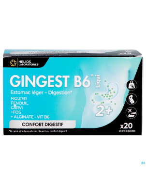 Gingest b6 liqui sticks 20x15ml