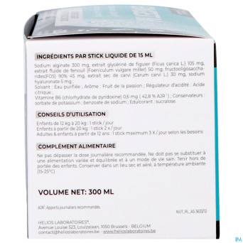 Gingest b6 liqui sticks 20x15ml