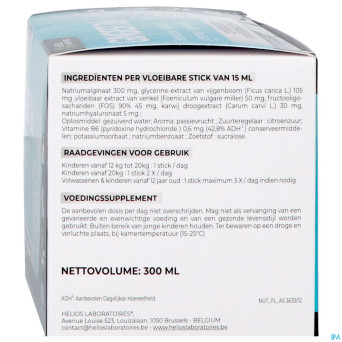 Gingest b6 liqui sticks 20x15ml