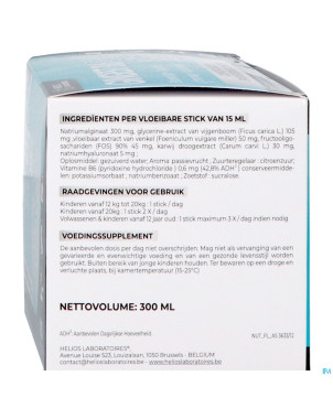 Gingest b6 liqui sticks 20x15ml