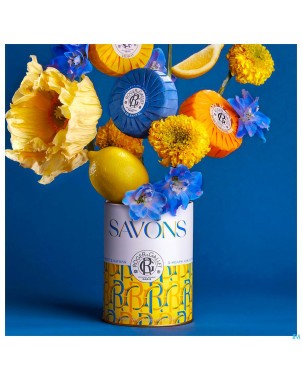 Roger&gallet savon bois orang./cedrat/santal3x100g