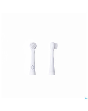 Matchstick monkey tete sonic brosse a dents