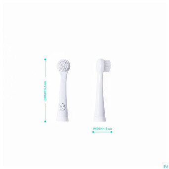 Matchstick monkey tete sonic brosse a dents