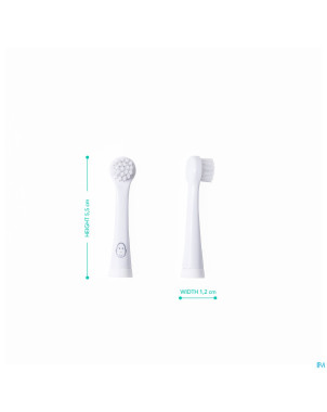 Matchstick monkey tete sonic brosse a dents