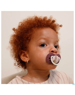 Difrax dynamic sucette day&night boy 18m+ 2