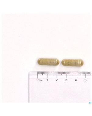 Respivits v-caps 60 lepivits