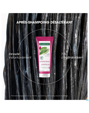 Klorane capil. apres sh figuier barbarie    200ml