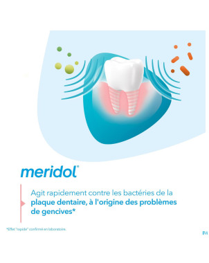 Meridol bain bouche protection gencives 400ml nf