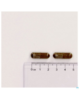 Circuvits v-caps 30 lepivits