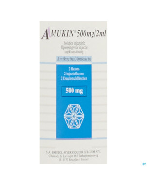 Amukin sol inj fl inj 2ml 2 x 250mg/1ml