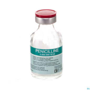 Penicilline 5000000ui pdr sol inj fl inj 100