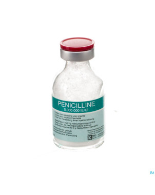 Penicilline 5000000ui pdr sol inj fl inj 100