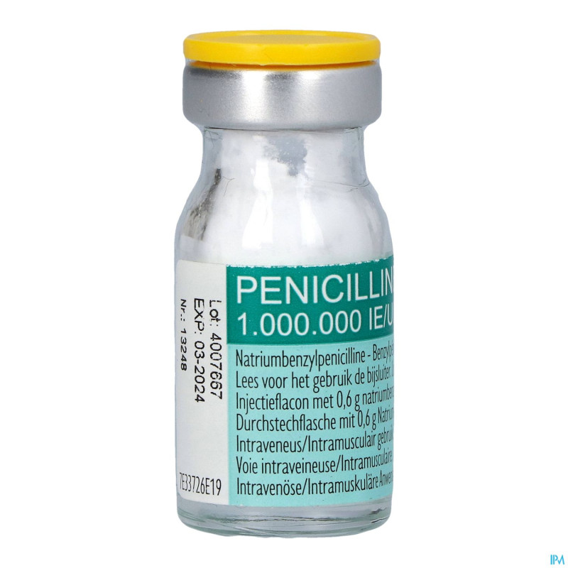 Penicilline 1000000ui pdr sol inj fl inj 100