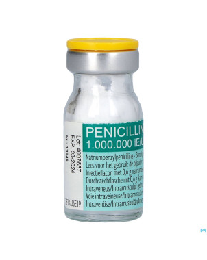 Penicilline 1000000ui pdr sol inj fl inj 100