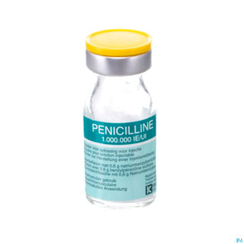 Penicilline 1000000ui pdr sol inj fl inj 100