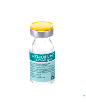 Penicilline 1000000ui pdr sol inj fl inj 100
