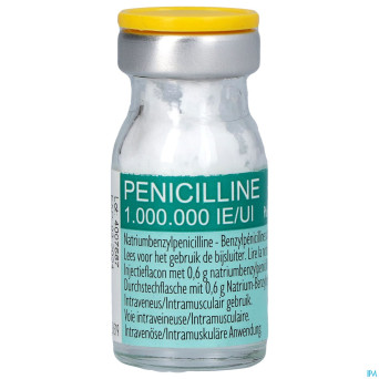 Penicilline 1000000ui pdr sol inj fl inj 100