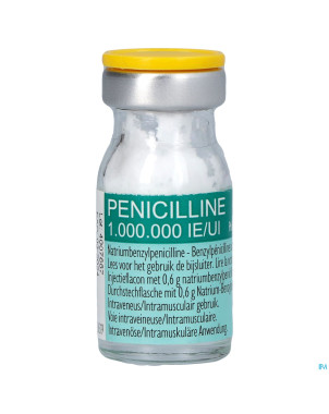 Penicilline 1000000ui pdr sol inj fl inj 100
